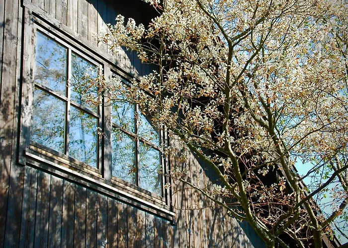 Charmante Mit Balkon Im 5-seen-land דירה Hechendorf am Pilsensee