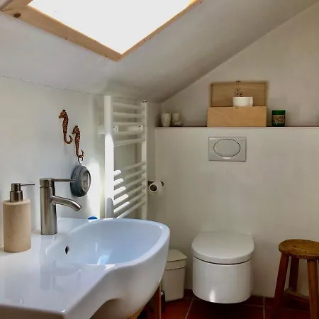 Charmante Mit Balkon Im 5-seen-land 公寓