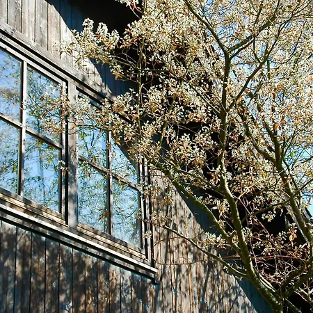 Charmante Mit Balkon Im 5-seen-land Apartamento Hechendorf am Pilsensee